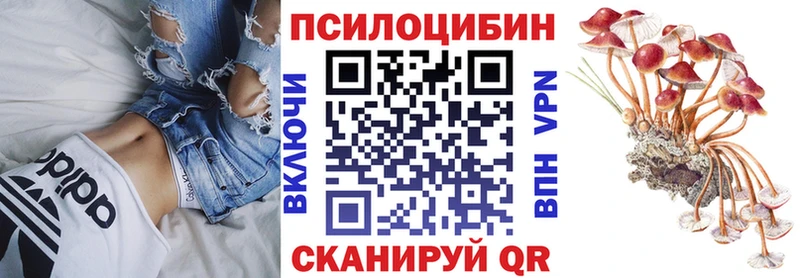 как найти закладки  Зубцов  Галлюциногенные грибы мицелий 